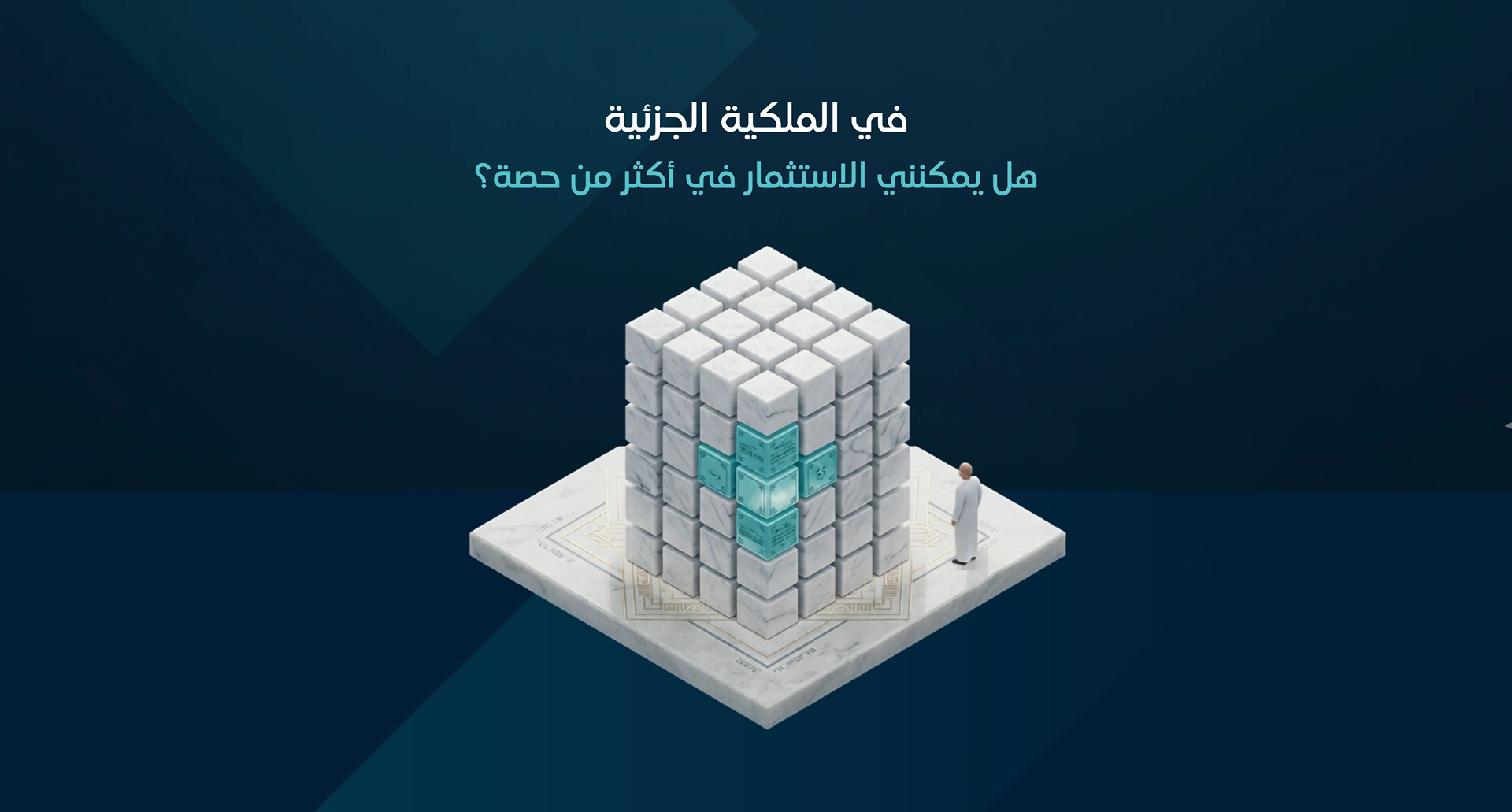 استثمار أكثر من حصة في الملكية الجزئية